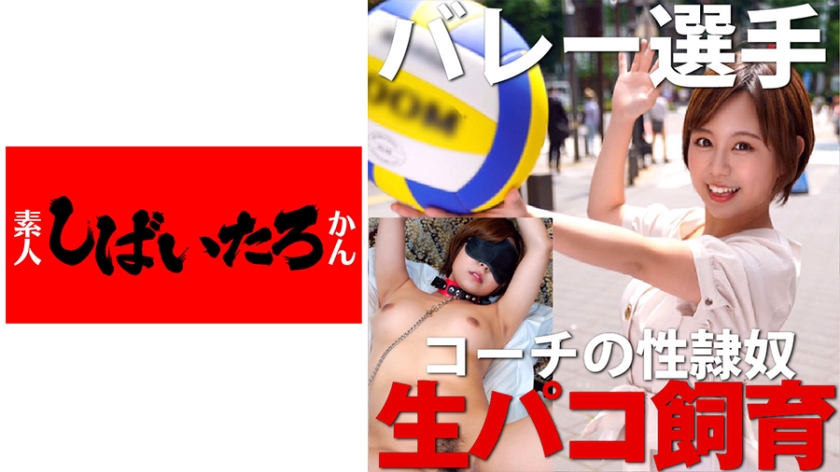 519MAZOF-011 jav torrent download free