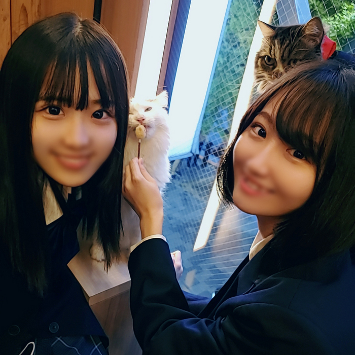 FC2-PPV-2477518 jav torrent download free