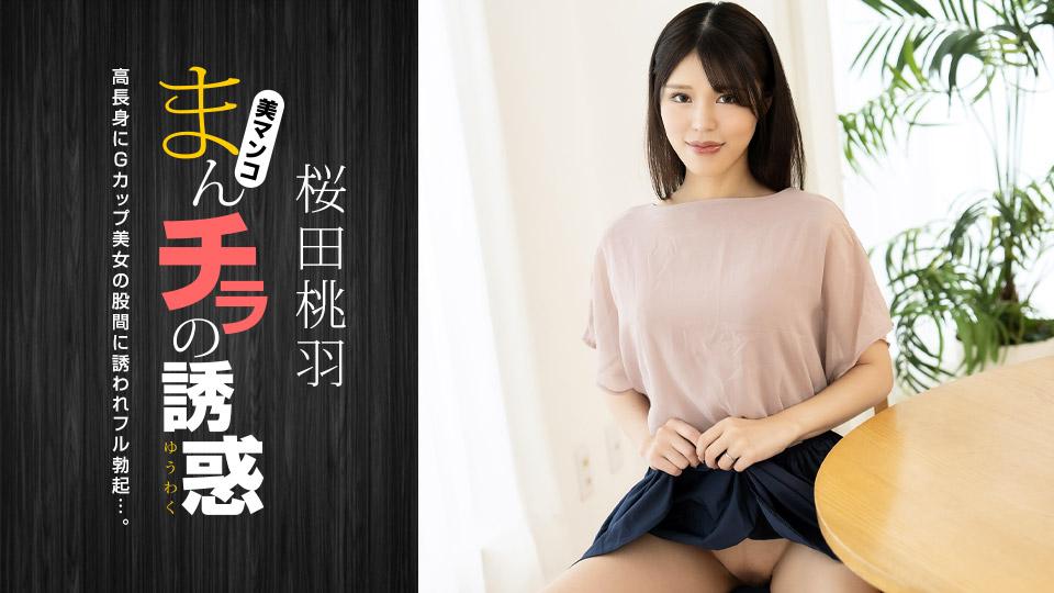 010125_001-1PON jav torrent download free