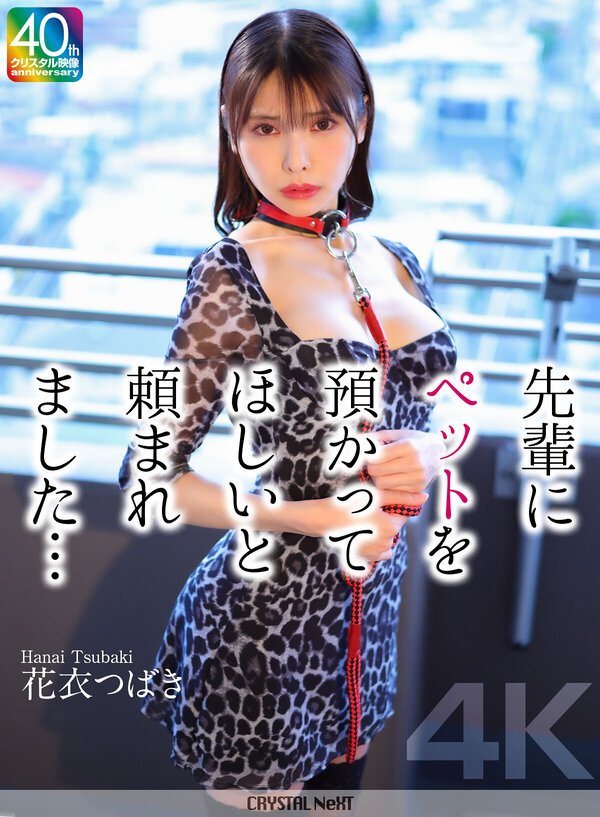 [FHD] jav torrent download free