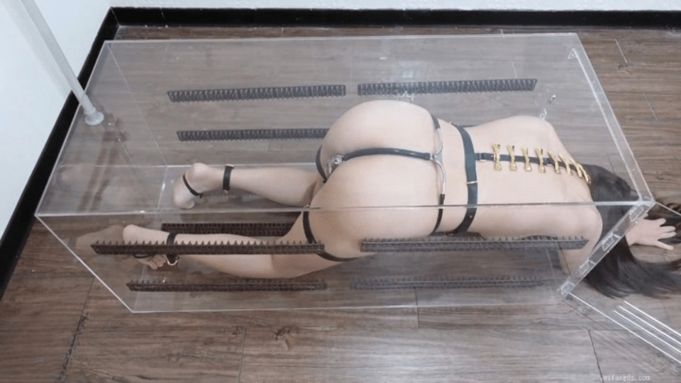 XB-1582 jav torrent download free